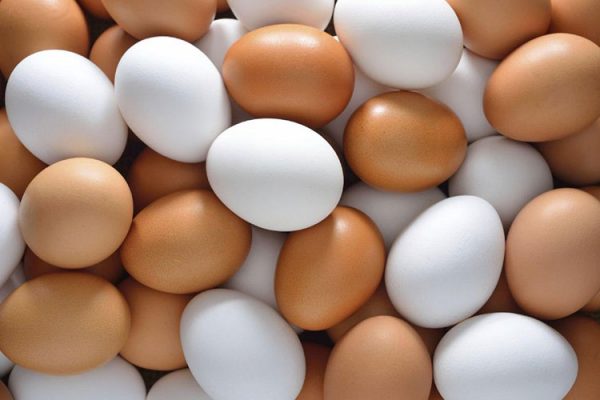 گرما نرخ تخم مرغ را کاهش داد
