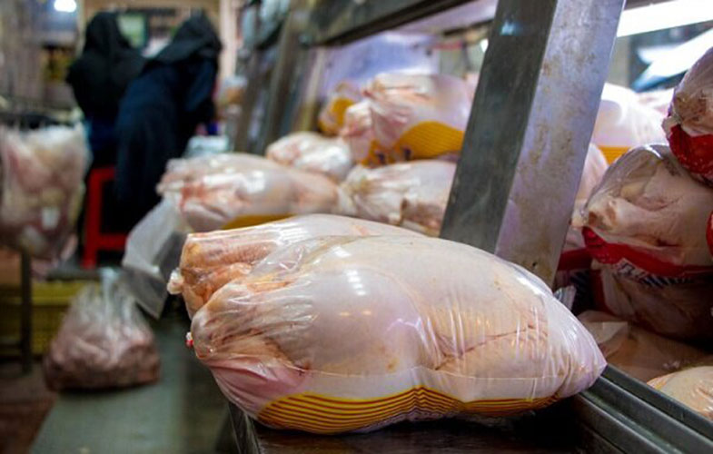 داستان ادامه‌دار تامین نهاده‌های دامی/ تولیدکنندگان رغبتی به بالا رفتن قیمت مرغ ندارند