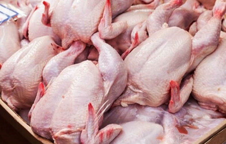 کاهش ۳۰ درصدی خرید مرغ