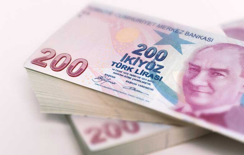۴۶ درصد ارزش پول ترکیه از دست رفت