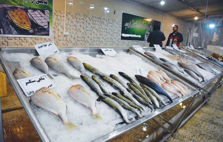 افزایش بیش از ۷۰ درصدی قیمت ماهی!