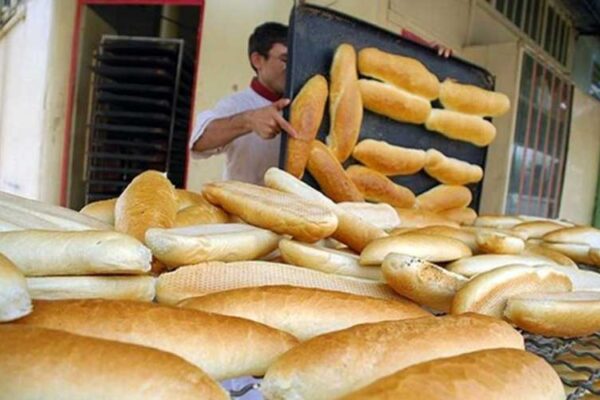 صادرات نان غیریارانه‌ای آزاد شد