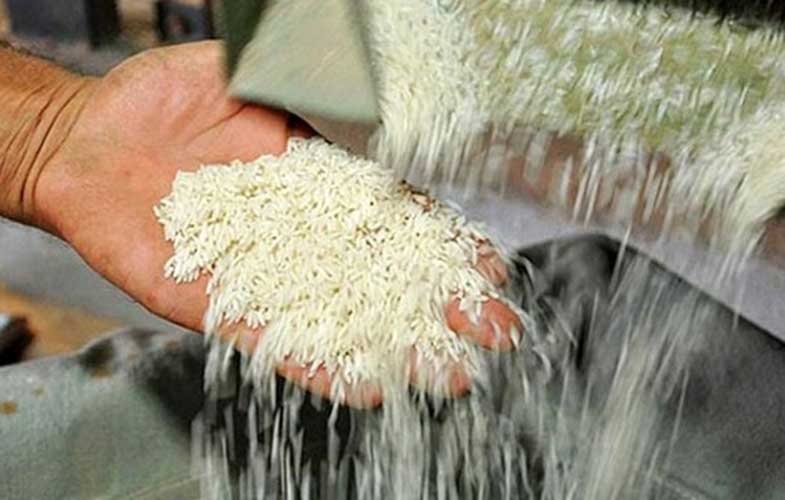 برنج درجه یک ایرانی کیلویی چند؟