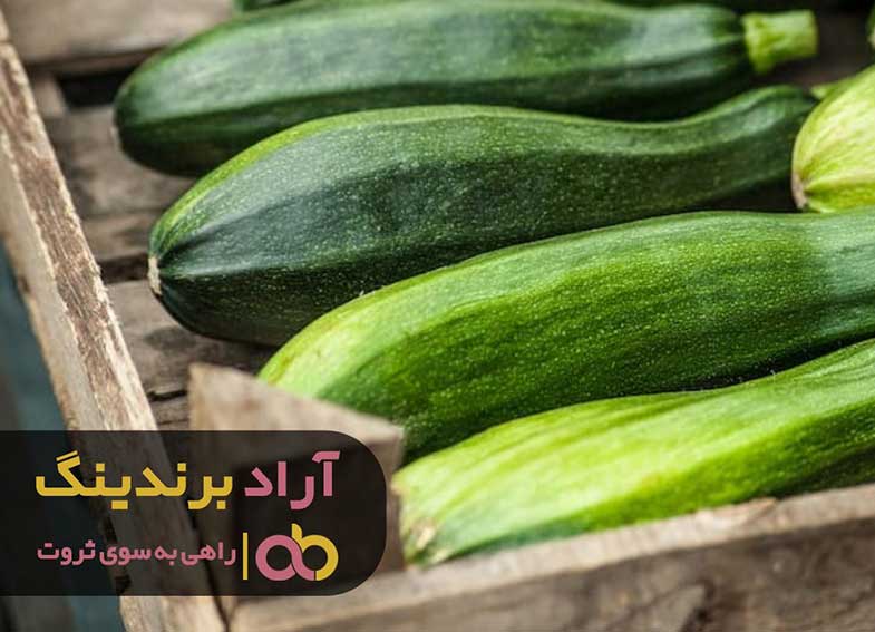 دانستنی های جذاب ثروت بر روی انسان