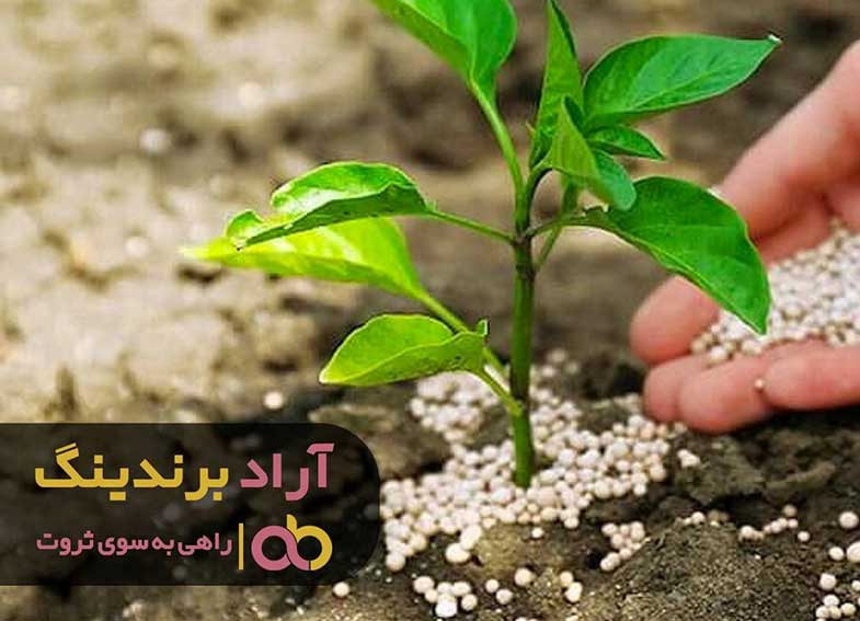 با کود درآمدم را تقویت کردم و به ثروت رسیدم