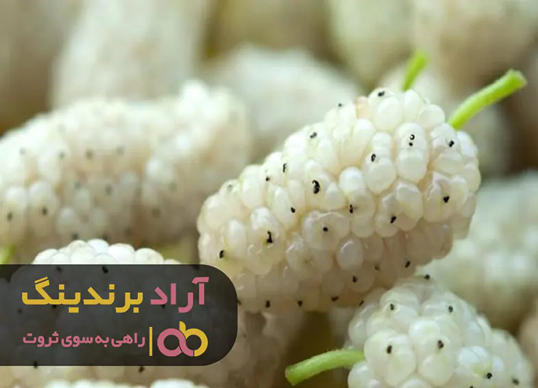 سه گام اساسی برای پول ‌دار شدن من چه بود