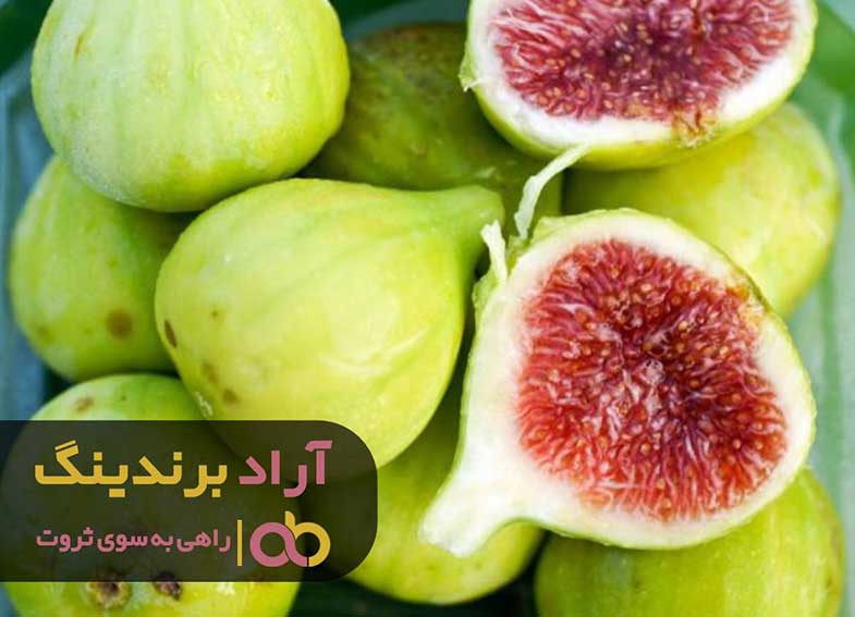 برای پیروزمندی در مسیر ثروت حدود مشخصی را تعیین نمایید