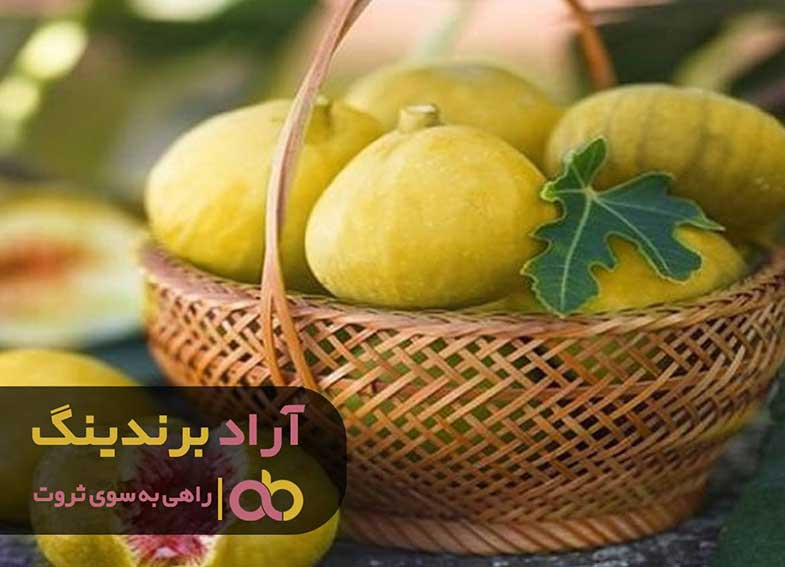 برای پیروزمندی در مسیر ثروت حدود مشخصی را تعیین نمایید