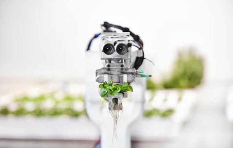 ربات ها سبزیجات می کارند (+عکس)
