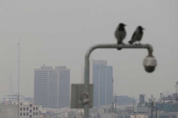 مازوت‌سوزی نیروگاه‌ها در تهران قویاً تکذیب می‌شود