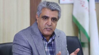 یک درصد افت تولید دارو، 200 میلیون دلار هزینه ارزی دارد