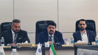 ملکان: واردات خودرو تهدیدی برای تولید داخل نیست