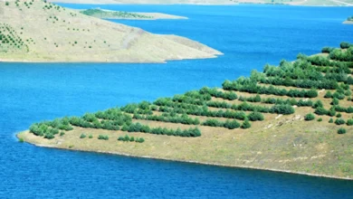 مکالمه رایگان ایرانسل به مناسبت روز کردستان