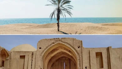هدیه ایرانسل به مشترکان استان سیستان و بلوچستان 5 هدیه ایرانسل به مشترکان استان سیستان و بلوچستان