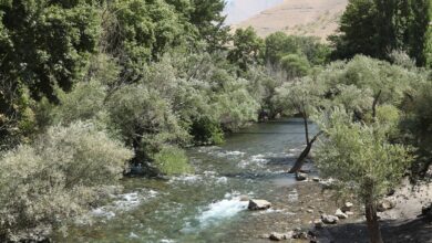دامنه جنوبی رشته‌کوه البرز مشرف به تهران