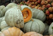 کدوحلوایی و سبزیجات پاییزی در سبزی‌فروشی