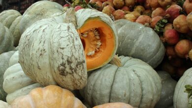 کدوحلوایی و سبزیجات پاییزی در سبزی‌فروشی