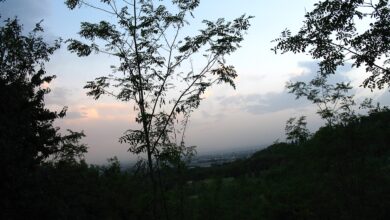 پارک چیتگر تهران