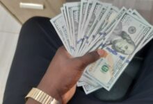 ارز واردات و اسکناس دلار