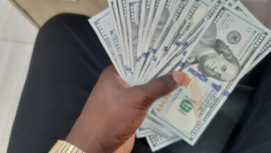 ارز واردات و اسکناس دلار