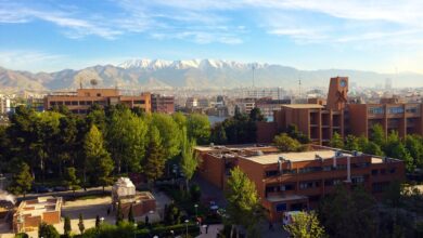 سرورهای بیش از ۵۰ شرکت پارک شریف آسیب دید 2 دانشگاه صنعتی شریف در تهران